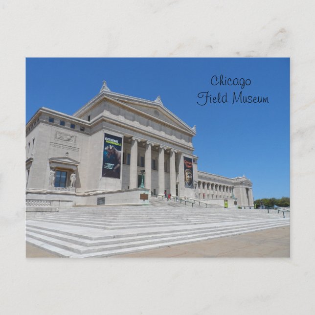 Carte Postale Musée Field de Chicago (Devant)