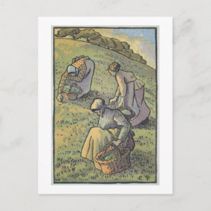 Carte Postale Mushrooms de Women Gathering