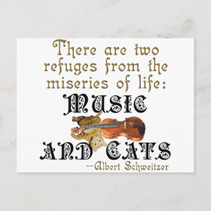 Carte Postale Musique et chats