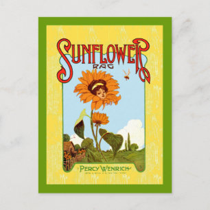 Carte Postale Musique tournesol vintage