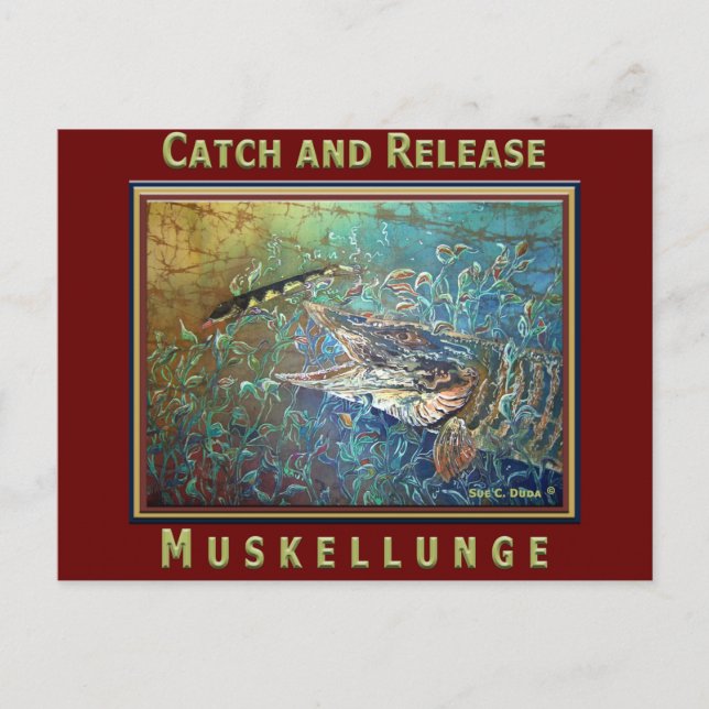 Carte Postale MUSKY C et R (Devant)