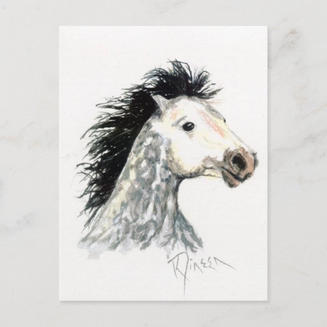 Carte postale Mustang Horse (Devant)