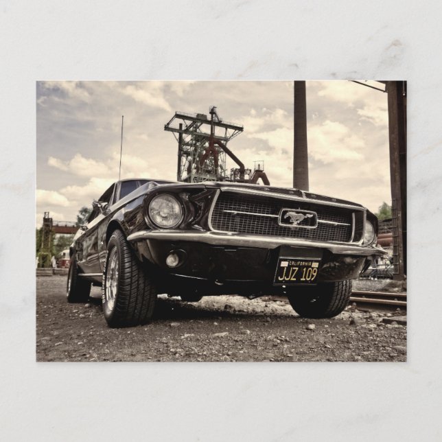 Carte Postale Mustang postcard (Devant)