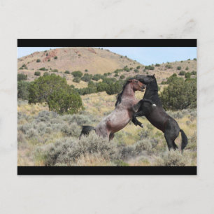 Carte Postale Mustang Waltz