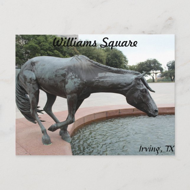 Carte Postale Mustangs de Las Colinas # 1 (Devant)
