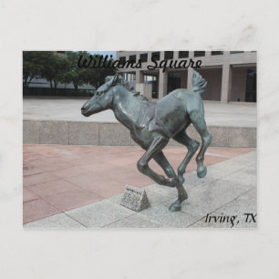 Carte Postale Mustangs de Las Colinas # 13