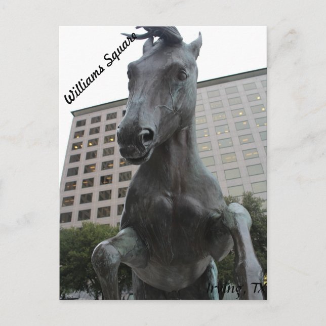 Carte Postale Mustangs de Las Colinas # 17 (Devant)