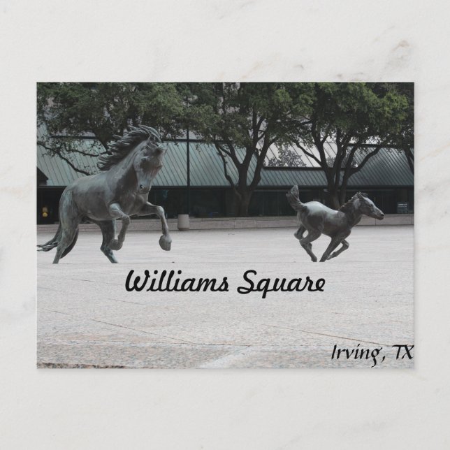 Carte Postale Mustangs de Las Colinas # 19 (Devant)