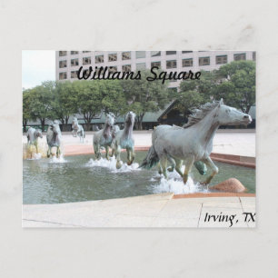 Carte Postale Mustangs de Las Colinas # 21