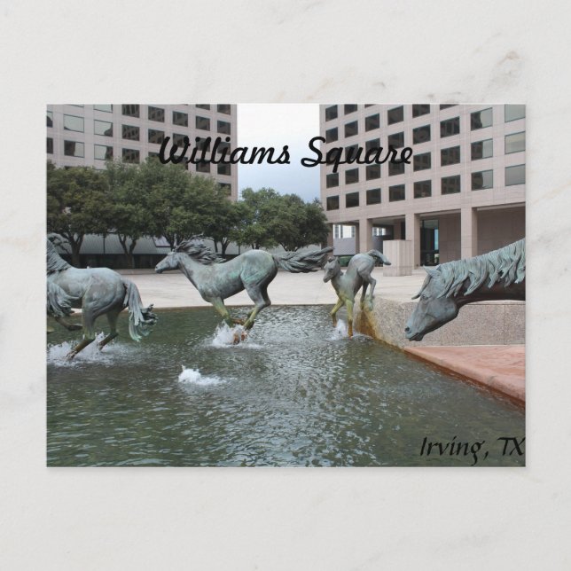 Carte Postale Mustangs de Las Colinas # 3 (Devant)