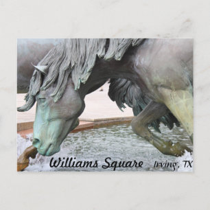 Carte Postale Mustangs de Las Colinas # 8