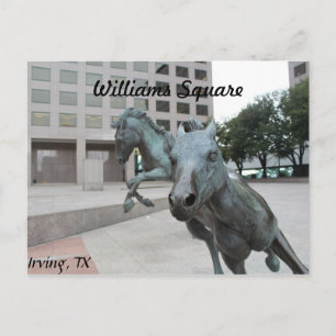 Carte Postale Mustangs de Las Colinas # 9