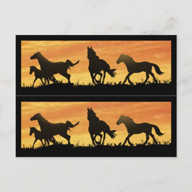 Carte Postale Mustangs sauvages (Devant)