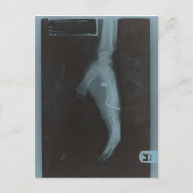 CARTE POSTALE MY22BULLET (Devant)