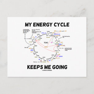 Carte Postale My Energy Cycle Keeps Me Going