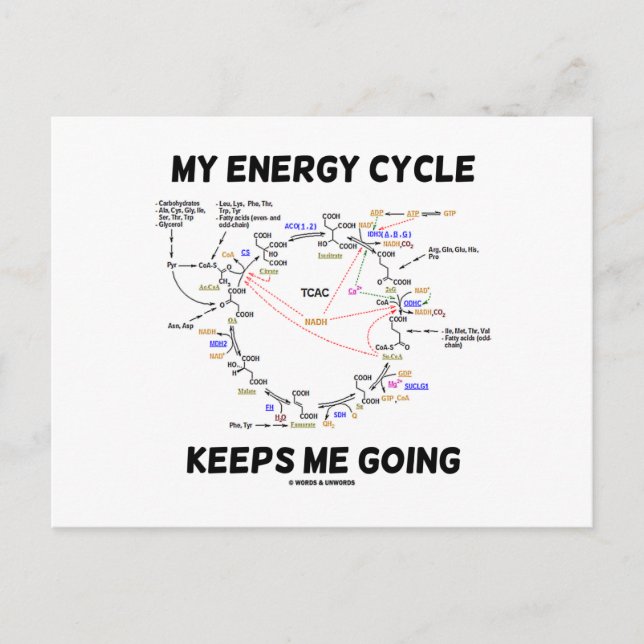 Carte Postale My Energy Cycle Keeps Me Going (Devant)