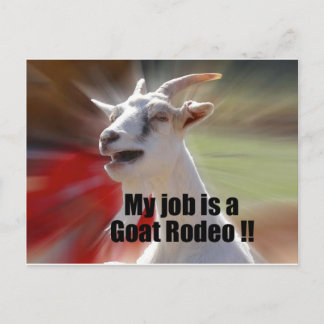 Carte Postale My Job is a Goat Rodeo Chèvre Photographie