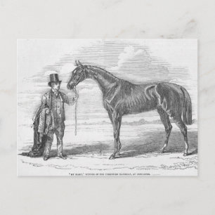 Carte Postale My Mary', lauréate du Yorkshire Handicap