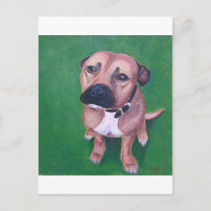 Carte Postale My staffy 2012