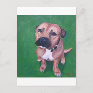 Carte Postale My staffy 2012