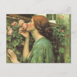 Carte Postale My Sweet Rose, or Soul of the Rose by Waterhouse