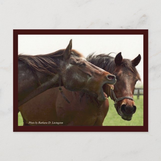 Carte Postale My Turbulent Miss with Taba Postcard (Devant)