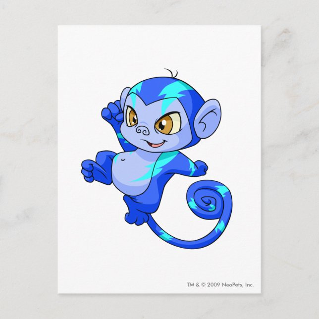 Carte Postale Mynci Electric (Devant)