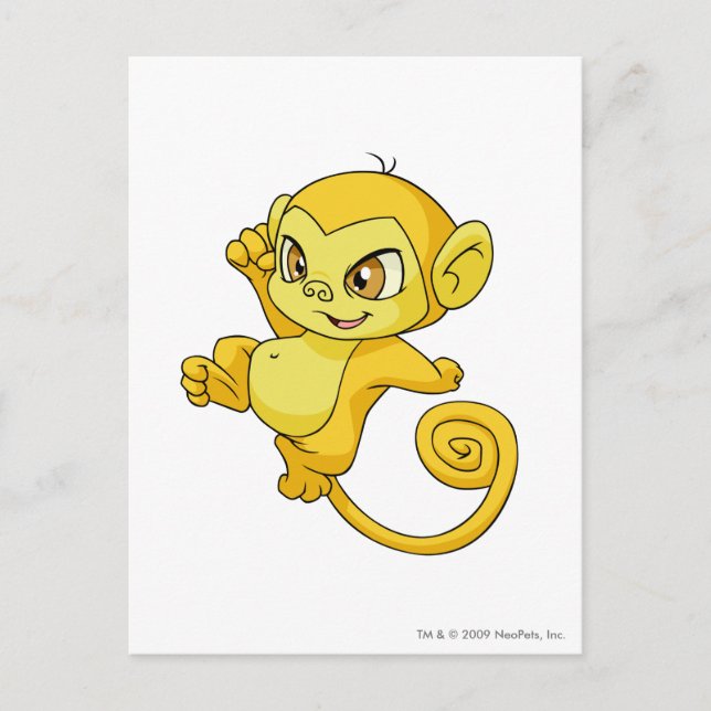 Carte Postale Mynci jaune (Devant)