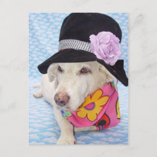 Carte Postale Myrtie d'alimentation des fleurs