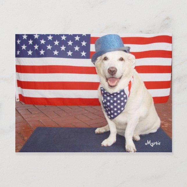 Carte Postale Myrtie patriotique (Devant)