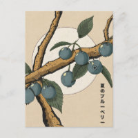 Myrtilles japonaises