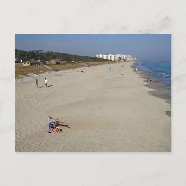 Carte Postale Myrtle Beach State Park, Caroline du Sud (Devant)