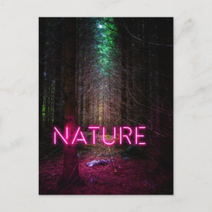 Carte Postale Mystère forêt d'épinette nature néon magenta signe