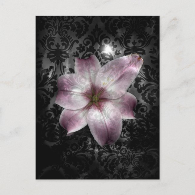 Carte Postale Mystère glorieux (Devant)