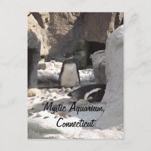 Carte postale Mystic