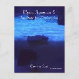 Carte postale Mystic