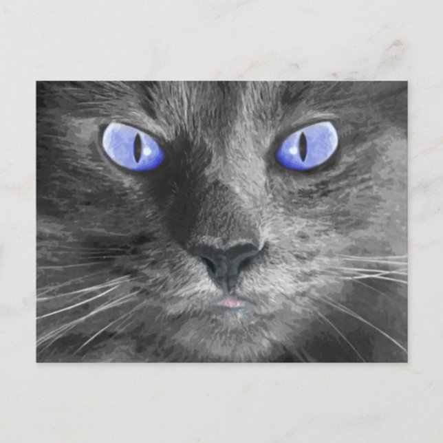 Carte postale Mystic Cat (Devant)