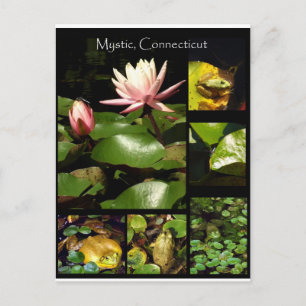 Carte Postale Mystic, Connecticut