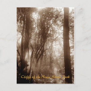 Carte Postale Mystic Morning CN1 - postcard