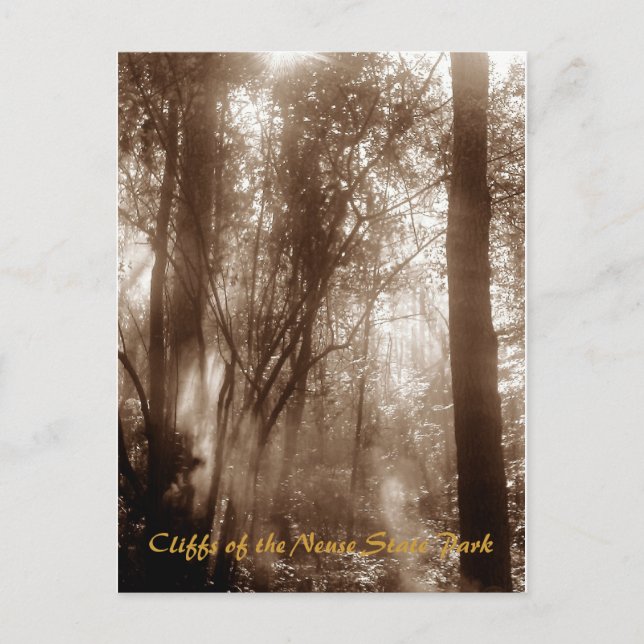 Carte Postale Mystic Morning CN1 - postcard (Devant)