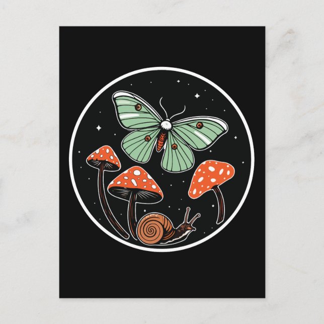 Carte Postale Mystical Moth with Mushrooms and Snail (Devant)