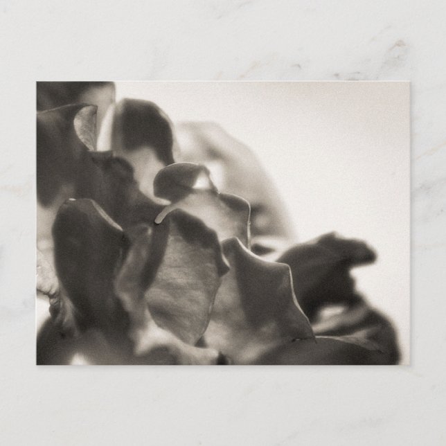 Carte Postale Mystique (Devant)