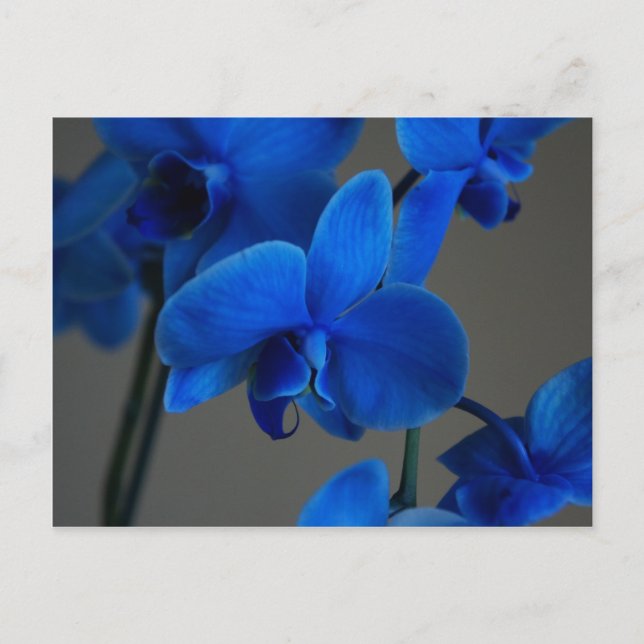 Carte Postale Mystique bleue (Devant)