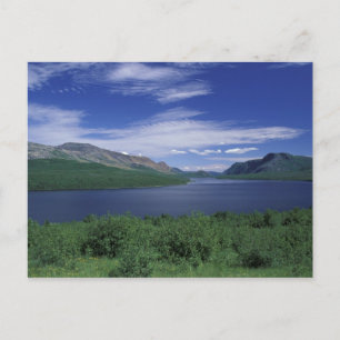 Carte Postale N.A., Canada, Terre-Neuve, truite Grose Morne