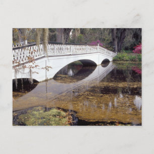 Carte Postale N.A., États-Unis, Caroline du Sud, Charleston. Ma