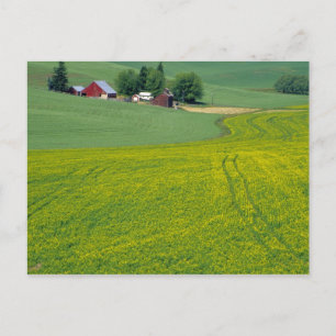 Carte Postale N.A., États-Unis, Idaho, Comté de Latah, près de G
