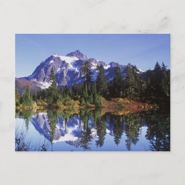 Carte Postale N.A., États-Unis, Washington, Mt. Baker & Snoqualm (Devant)