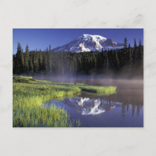Carte Postale N.A., États-Unis, Washington, Mt. Rainier National
