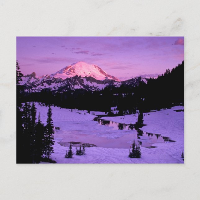 Carte Postale N.A., États-Unis, Washington, Mt. Rainier National (Devant)