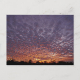 Carte Postale N.A., USA, Nouveau-Mexique, près de Las Cruces,